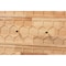 Baxton Studio Hosea Japandi Carved Honeycomb Natural 6-Drawer Dresser 246-13622-ZORO - alternate 9